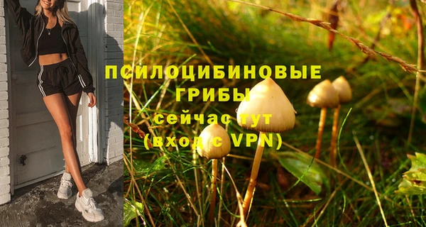 ALPHA PVP Семёнов
