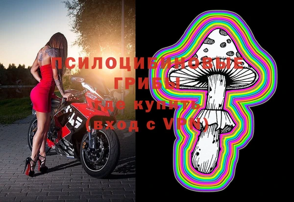 ALPHA PVP Семёнов