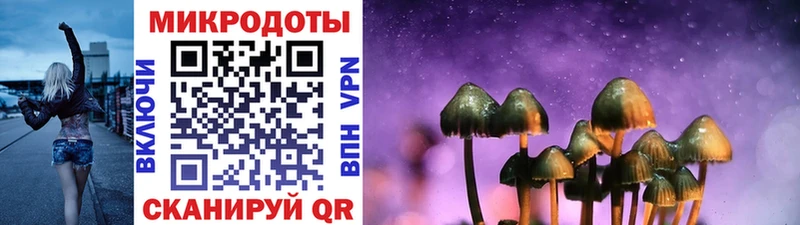 наркотики  Вихоревка  Галлюциногенные грибы Psilocybine cubensis 